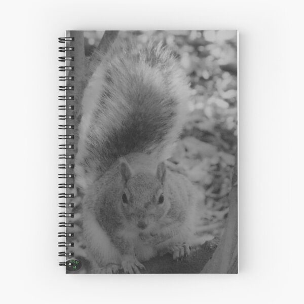 Item preview, Squirrel B&W designed and sold by RicheRifkind.