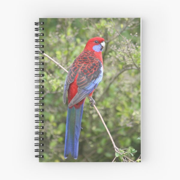Item preview, Cheeky Red Profile designed and sold by Kellea Croft.