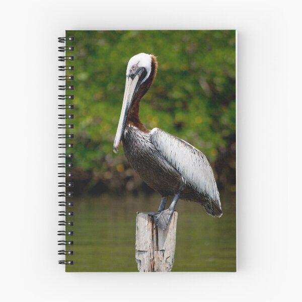 Item preview, Posing Pelican designed and sold by Karen  Moore.