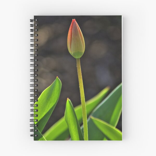 Item preview, New Bloom designed and sold by Jeff VanDyke.
