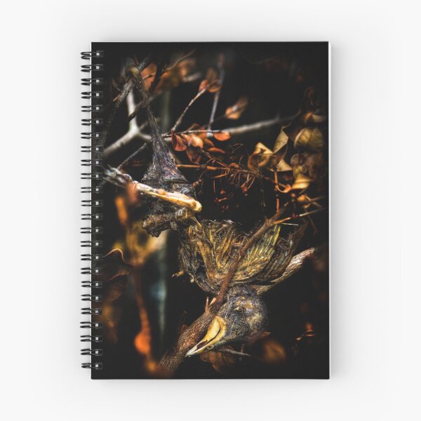 Item preview, Fly no more designed and sold by Arek Rainczuk.