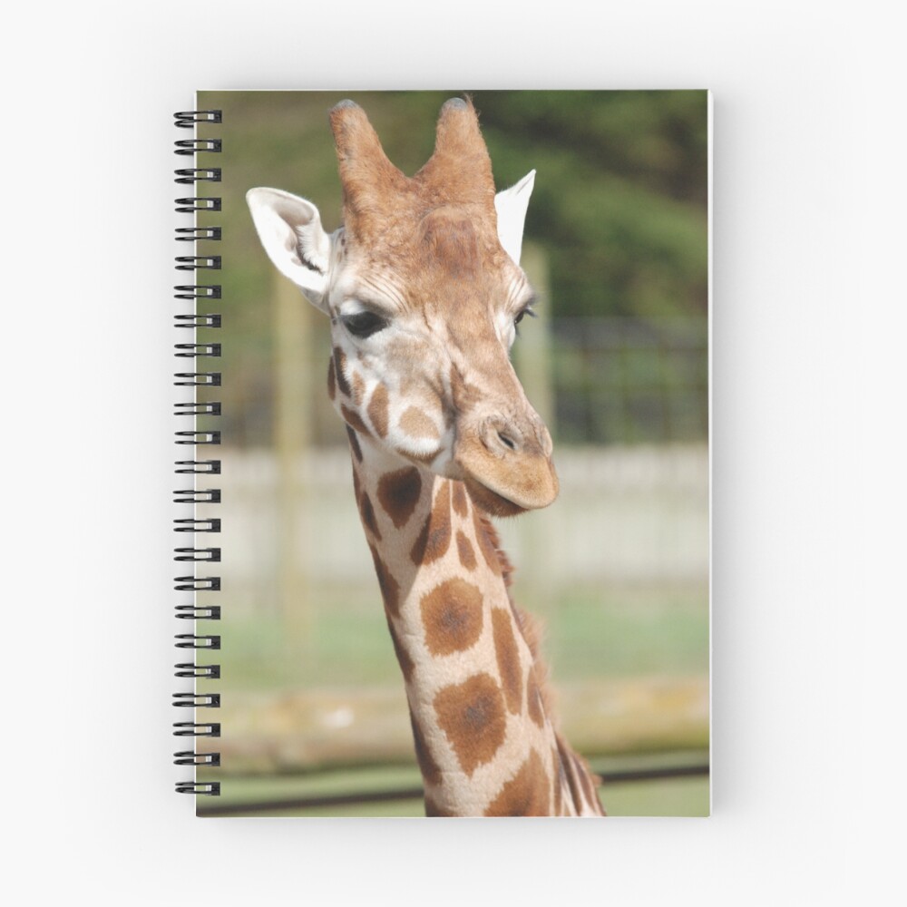 Item preview, Spiral Notebook designed and sold by stewarty.