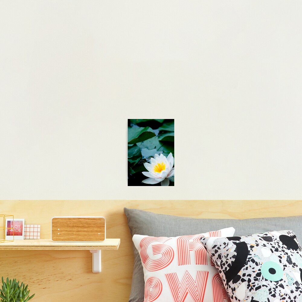 Item preview, Photographic Print designed and sold by NomadderWhere.
