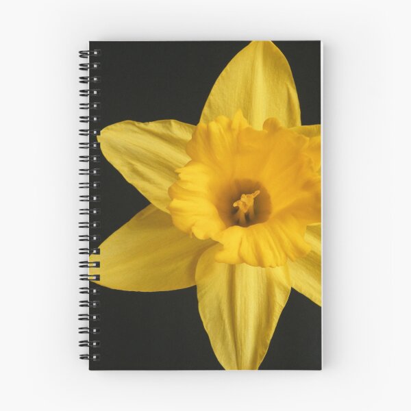 Item preview, Yellow Star designed and sold by CinB.