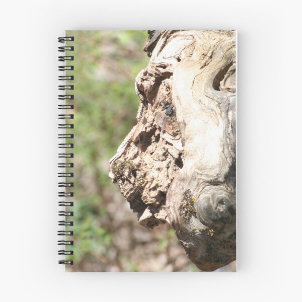Item preview, What Do You See? designed and sold by Lori Walton.