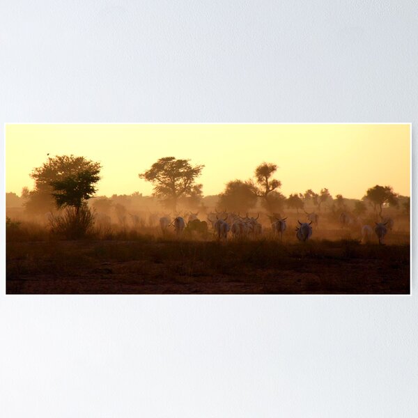 Item preview, Cattle and Dust - Dusk in Senegal designed and sold by helenlloyd.