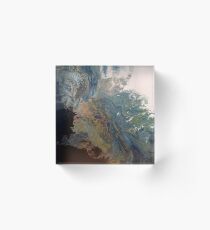 Split personality Acrylic Block