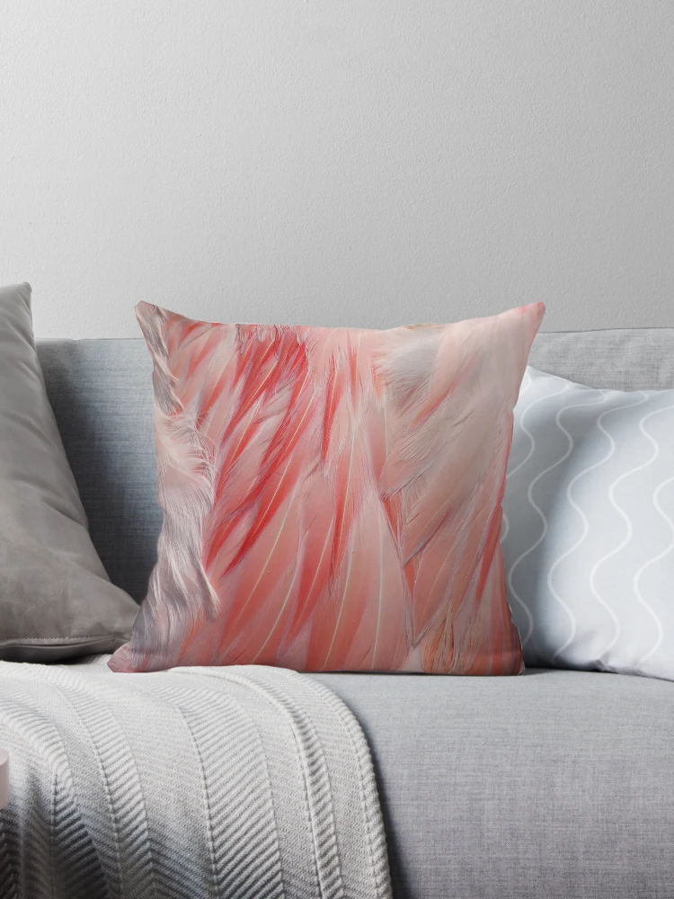 Flamingo Coral Pink Feathers Photograph Poster for Sale by HotHibiscus