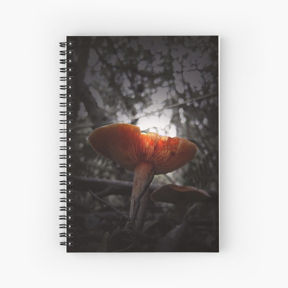 Lift Spiral Notebook