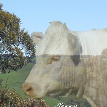 Artwork thumbnail, Bonny! Bonny from Oberon by Alex Gardiner