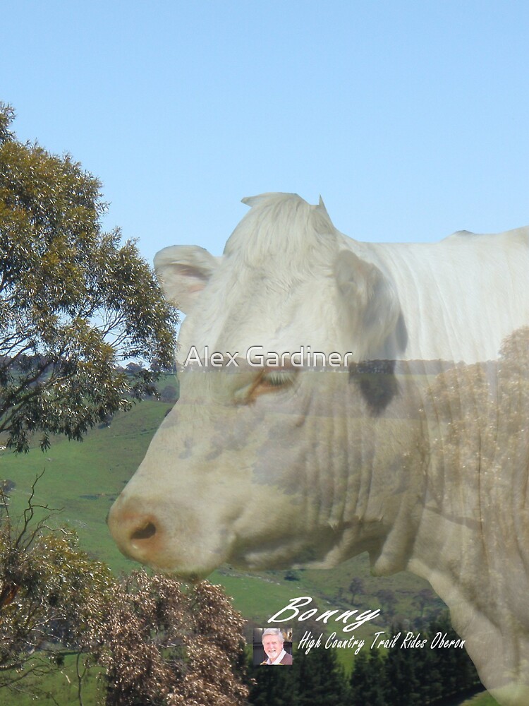 Thumbnail 7 of 7, Essential T-Shirt, Bonny! Bonny from Oberon designed and sold by windana1.