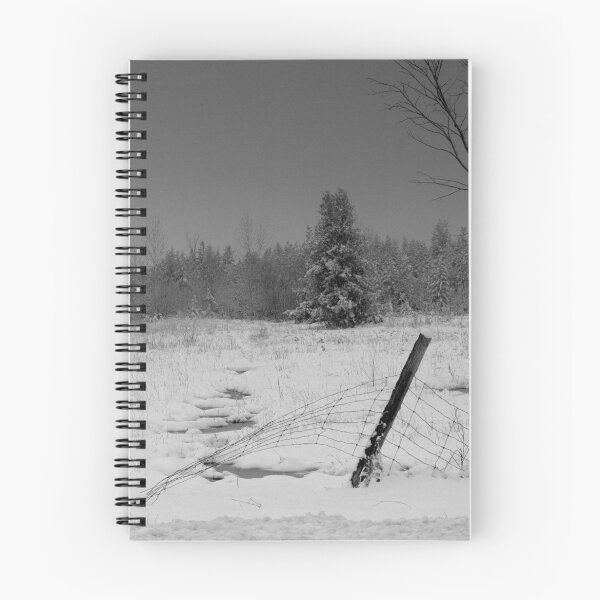 Item preview, A Christmas Tree in April.... designed and sold by Larry Llewellyn.