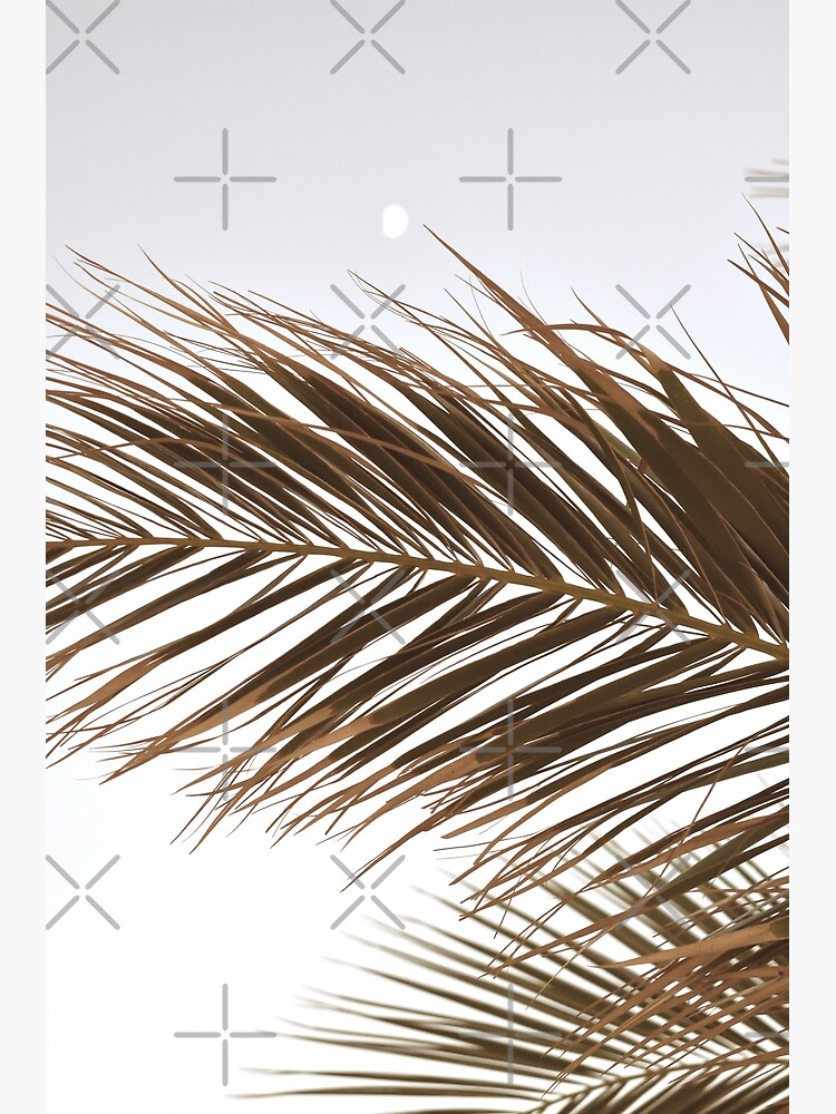 Palm Tree Leaves in Beige by PrintsProject