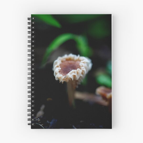 Item preview, Fungi season 3 designed and sold by Normf.