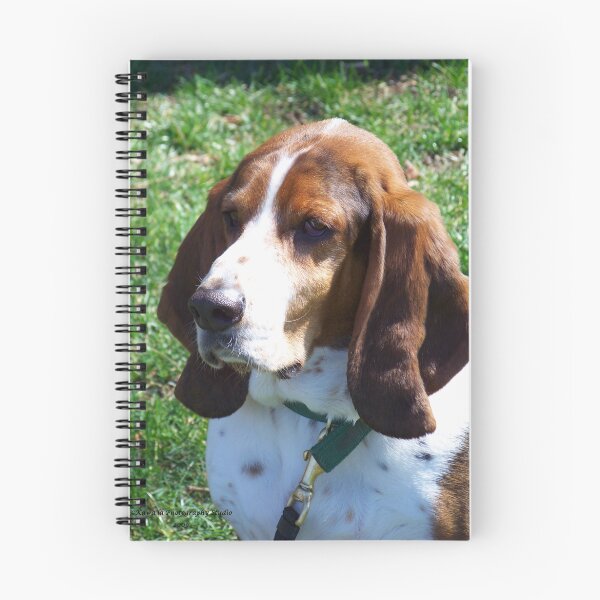 Item preview, Beagal designed and sold by Dennis  Stanton.