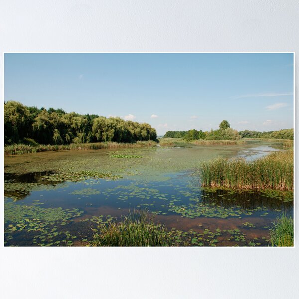 Artikelvorschau, Wetland at Kanyavar Island  entworfen und verkauft von jojobob.