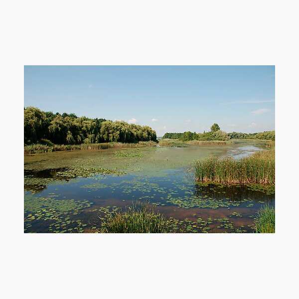 Item preview, Wetland at Kanyavar Island  designed and sold by jojobob.