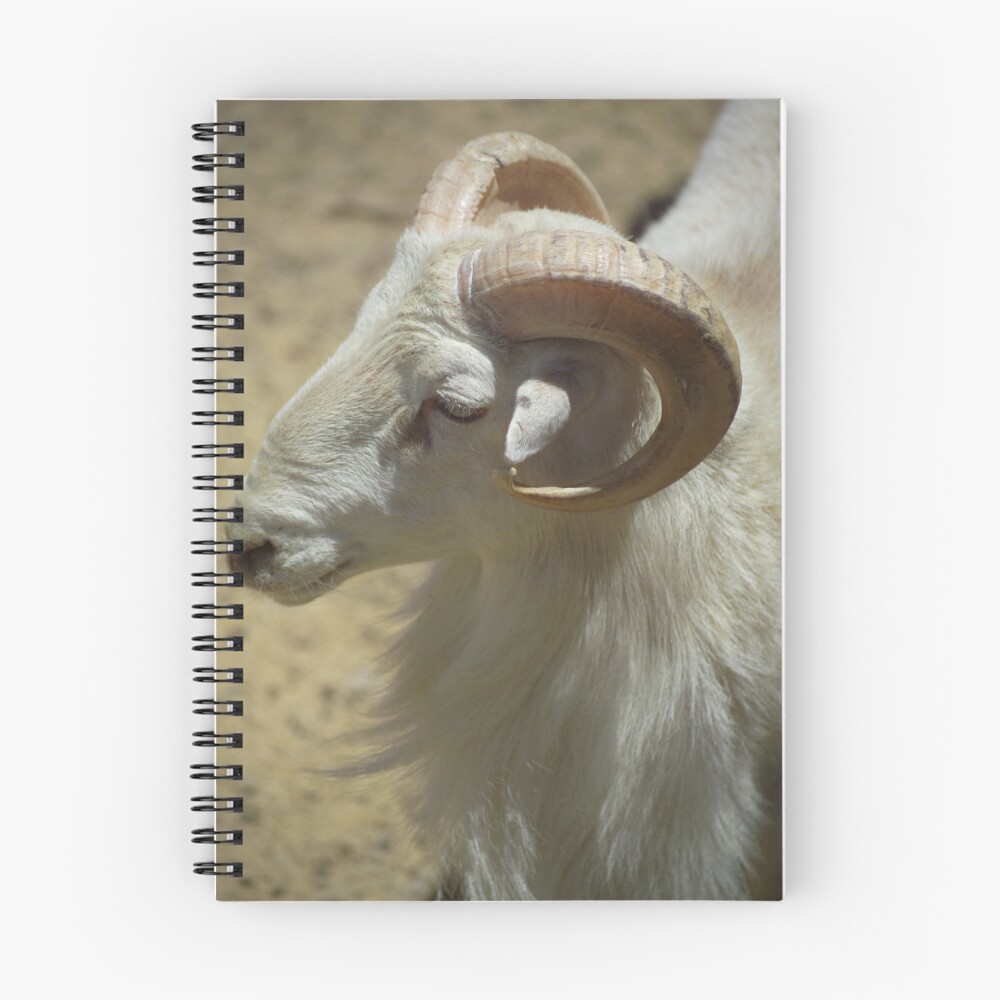 Item preview, Spiral Notebook designed and sold by Dennis Begnoche.