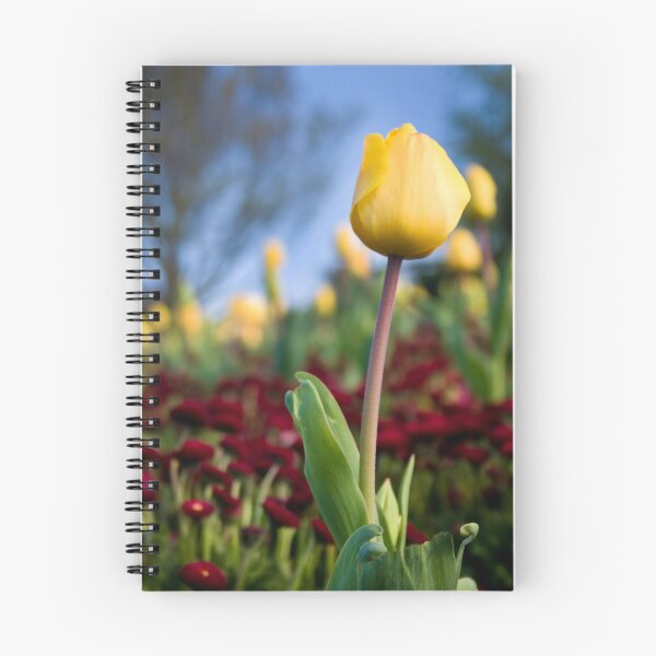 Artikelvorschau, Yellow Tulip entworfen und verkauft von GordonScott.