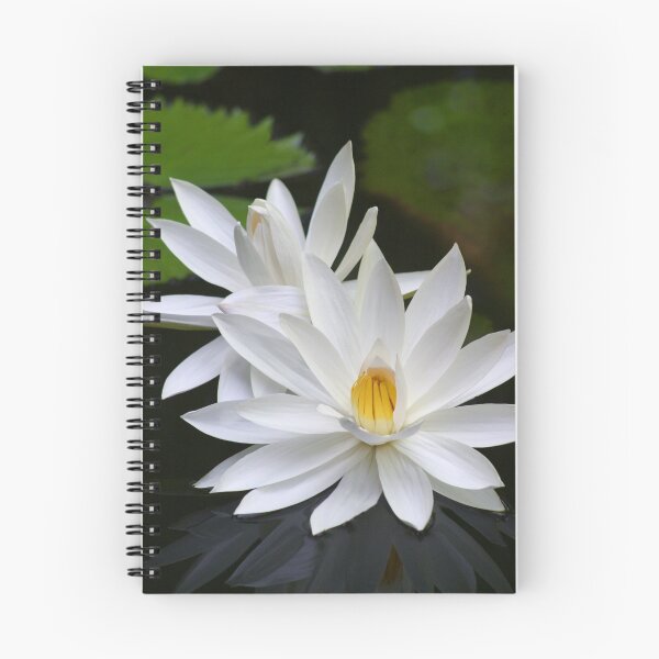 Aperçu de l'œuvre Lotus Flower créée et vendue par Scott Harding.
