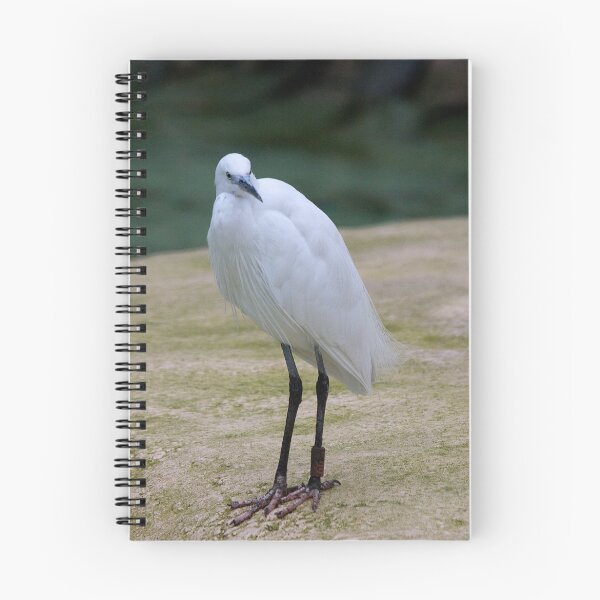 Item preview, Egret Pose designed and sold by Sheila Smith.