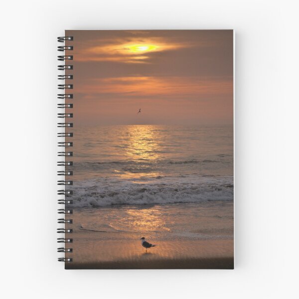 Aperçu de l'œuvre Leon beach sunset créée et vendue par Andrew Howson.