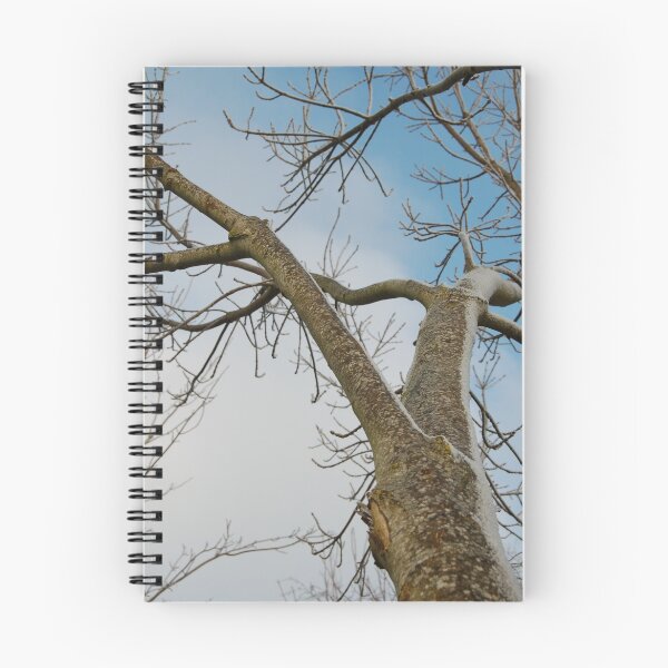 Item preview, Winters Tree designed and sold by Katie  Jackman.