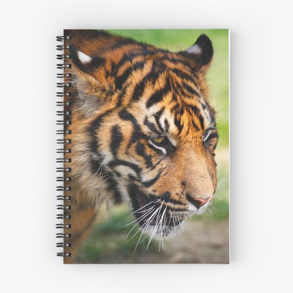 Item preview, Tiger Portrait designed and sold by SWEEPER.