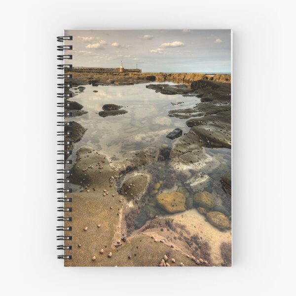 Item preview, AMONGST THE ROCKS. designed and sold by STEVE  BOOTE.