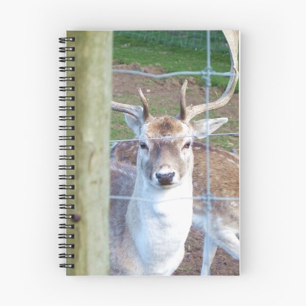 Item preview, "yes...i see you.." designed and sold by calam19.