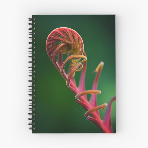 Item preview, Coiled designed and sold by Margaret Barry.