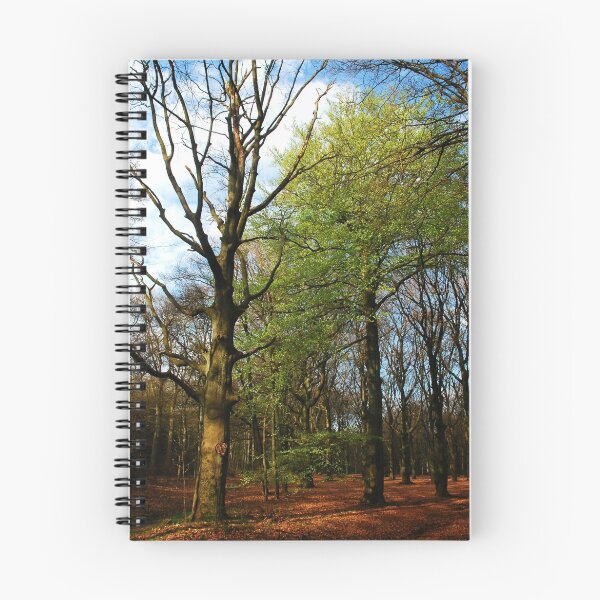 Item preview, That one, that first green beech-tree! designed and sold by jchanders.
