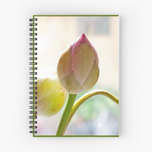 Item preview, Lotus flower designed and sold by Malcolm Garth.
