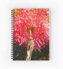 Drinking Deeply Spiral Notebook