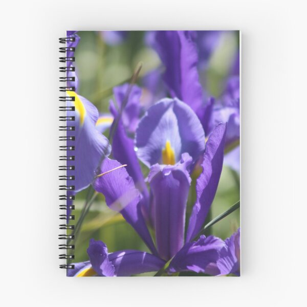 Item preview, Iris designed and sold by Sally Haldane.