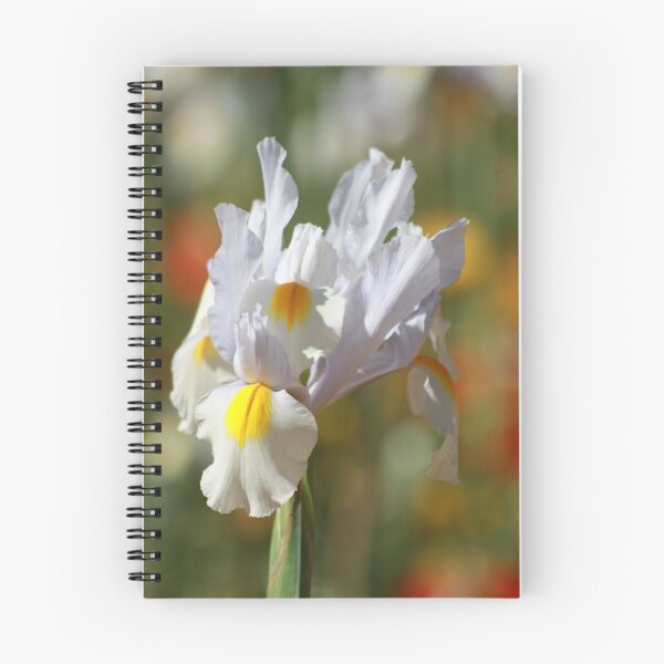 Item preview, Pure Iris designed and sold by Sally Haldane.