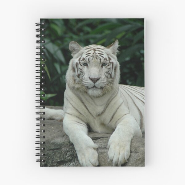 Item preview, White Tiger designed and sold by DUNCAN DAVIE.