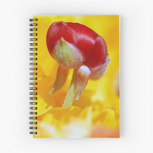 Item preview, The Red Bud designed and sold by Judy Yanke Fritzges.