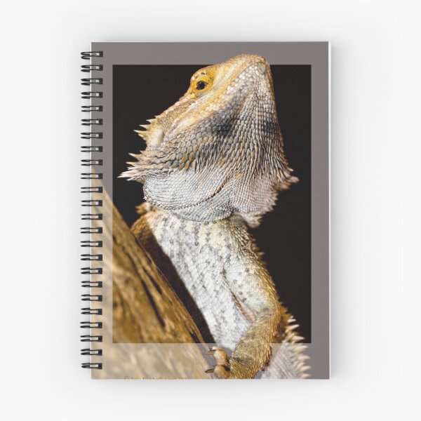 Item preview, Reptile breaking out designed and sold by imagic.