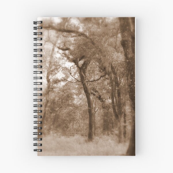 Item preview, "Brooksville Landscape" designed and sold by Raphaela DiCapua.