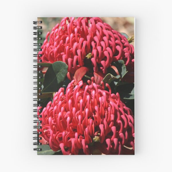 Item preview, Waratah designed and sold by Sally Haldane.