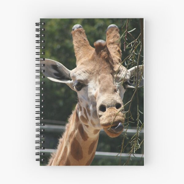 Item preview, Snacktime designed and sold by Sally Haldane.
