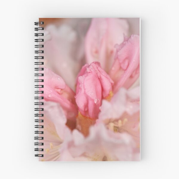 Artikelvorschau, Rhododendron entworfen und verkauft von mistyrose.