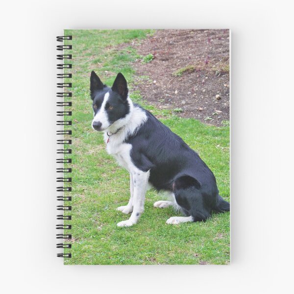 Item preview, Border Collie designed and sold by Dandelion Dilluvio.