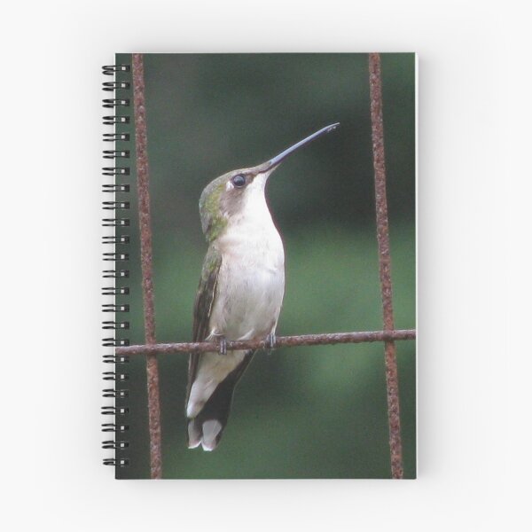 Item preview, Bird On A Wire designed and sold by Ginny York.