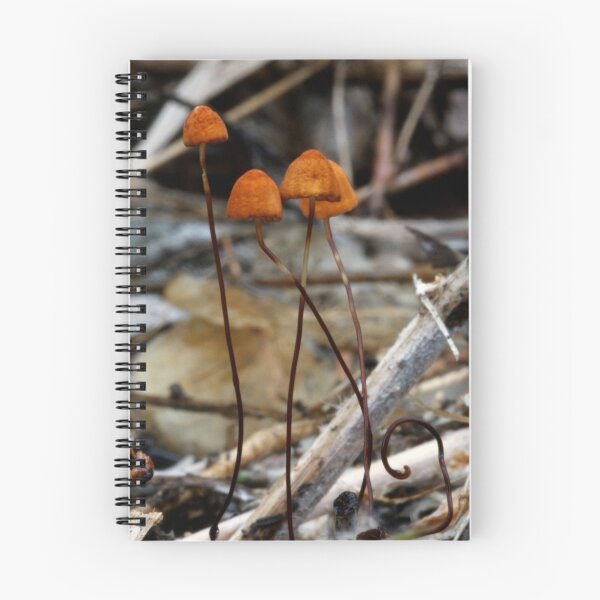 Item preview, Fungi Season 10 designed and sold by Normf.