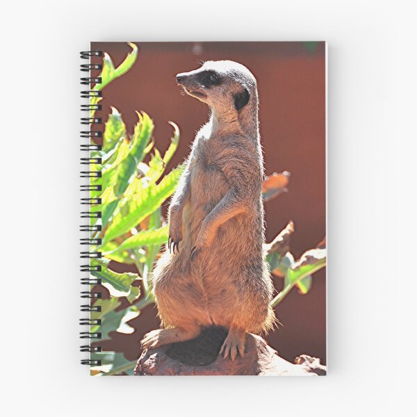 Item preview, Shakespeare at Meerkat Manor designed and sold by Michael Tapping.