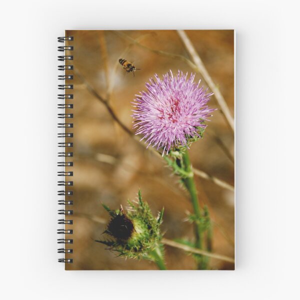 Item preview, Scotch Thistle designed and sold by pictureit.
