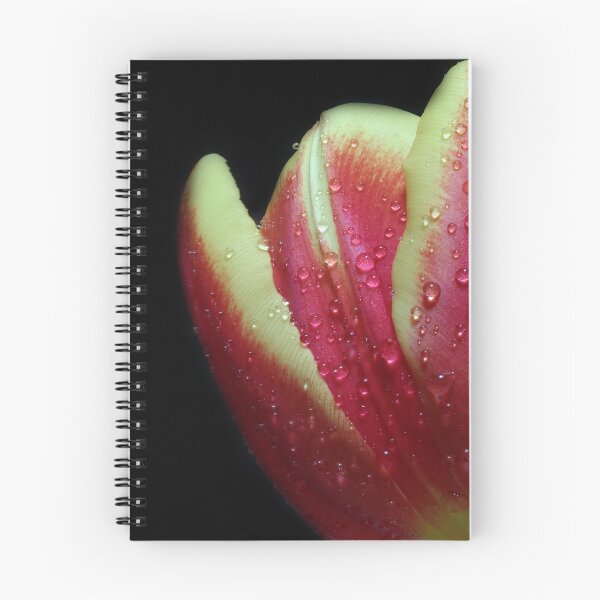 Item preview, Tulip designed and sold by zulu.