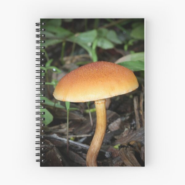 Item preview, Fungi season 14 designed and sold by Normf.